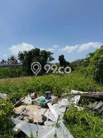LAND FOR RENT! Tanah di Seseh, Luas 1700m², Dekat Jalan Utama LAND FOR RENT! Tanah di Seseh, Luas 1700m², Dekat Jalan Utama