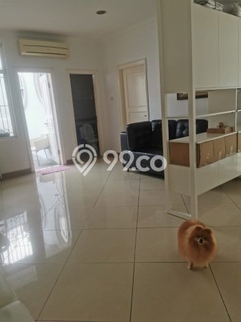 Rumah Berkualitas LT 300m² / LB 400m² di Lokasi Strategis Pantai Indah Kapuk, Jakarta Utara Rumah Berkualitas LT 300m² / LB 400m² di Lokasi Strategis Pantai Indah Kapuk, Jakarta Utara