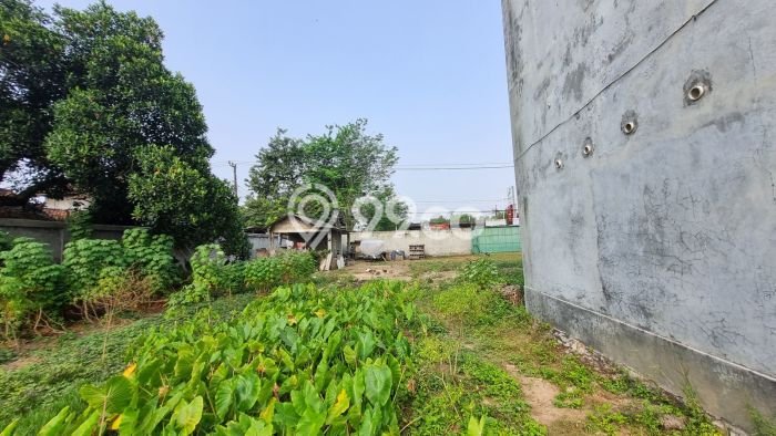 Tanah untuk Dijual di Serang Serang Luas 2310m2 Tanah untuk Dijual di Serang Serang Luas 2310m2