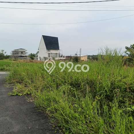 Dijual Tanah Lokasi Kedungu, Tabanan Seluas 250m2 Dijual Tanah Lokasi Kedungu, Tabanan Seluas 250m2