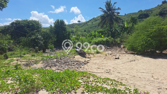 Tanah Dijual di Badung Seluas 3252m2 Strategis Tanah Dijual di Badung Seluas 3252m2 Strategis