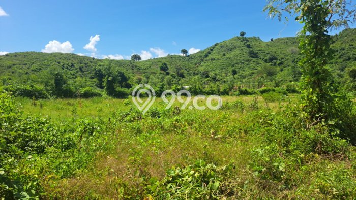 Tanah Dijual di Badung Seluas 3252m2 Strategis Tanah Dijual di Badung Seluas 3252m2 Strategis