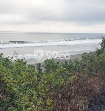 Tanah Dijual di Tabanan Seluas 7500m2 Strategis Tanah Dijual di Tabanan Seluas 7500m2 Strategis
