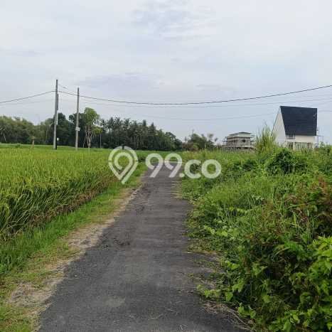 Dijual Tanah Lokasi Kedungu, Tabanan Seluas 250m2 Dijual Tanah Lokasi Kedungu, Tabanan Seluas 250m2