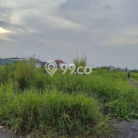 Dijual Tanah Lokasi Kedungu, Tabanan Seluas 250m2 Dijual Tanah Lokasi Kedungu, Tabanan Seluas 250m2