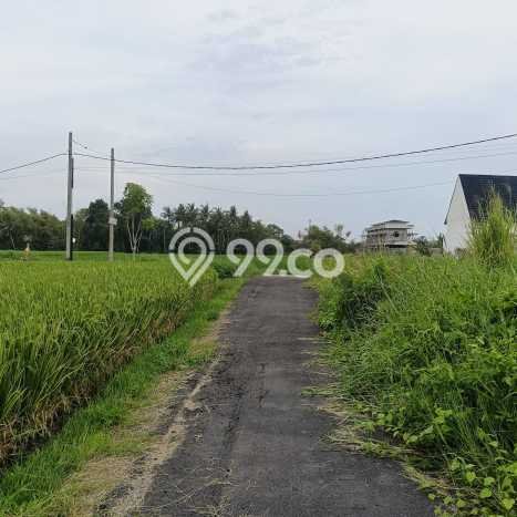 Dijual Tanah Lokasi Kedungu, Tabanan Seluas 250m2 Dijual Tanah Lokasi Kedungu, Tabanan Seluas 250m2