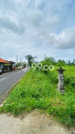 HARGA MENARIK! Tanah Kawasan Tabanan, Luas 1800m², Lingkungan Asri HARGA MENARIK! Tanah Kawasan Tabanan, Luas 1800m², Lingkungan Asri