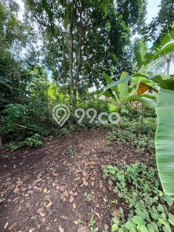 Lahan Strategis di Ubud Dijual dengan Luas 1250m2 Lahan Strategis di Ubud Dijual dengan Luas 1250m2