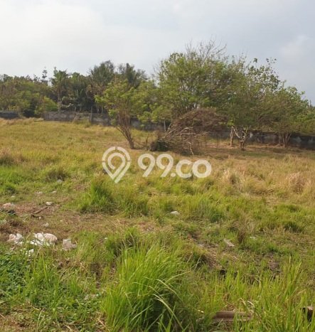 Tanah Dijual di Tabanan Seluas 7500m2 Strategis Tanah Dijual di Tabanan Seluas 7500m2 Strategis