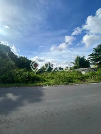 Dijual Tanah 1500m2 di Serangan, Denpasar Dijual Tanah 1500m2 di Serangan, Denpasar