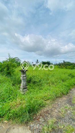HARGA MENARIK! Tanah Kawasan Tabanan, Luas 1800m², Lingkungan Asri HARGA MENARIK! Tanah Kawasan Tabanan, Luas 1800m², Lingkungan Asri