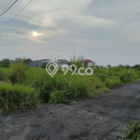 Dijual Tanah Lokasi Kedungu, Tabanan Seluas 250m2 Dijual Tanah Lokasi Kedungu, Tabanan Seluas 250m2