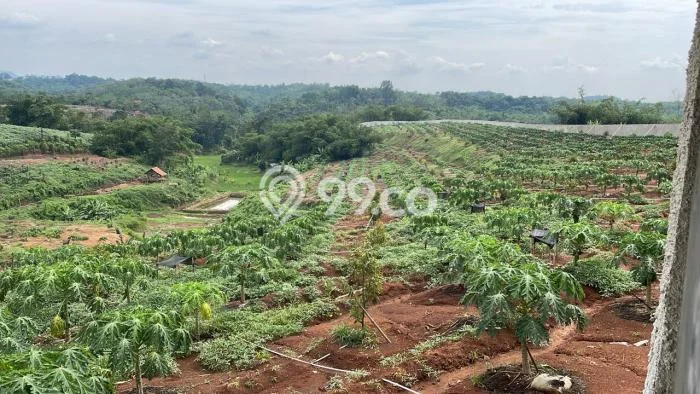 Tanah Kavling di Cihara Dijual dengan Luas 31160m2 Tanah Kavling di Cihara Dijual dengan Luas 31160m2
