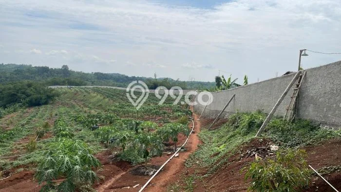 Tanah Kavling di Cihara Dijual dengan Luas 31160m2 Tanah Kavling di Cihara Dijual dengan Luas 31160m2