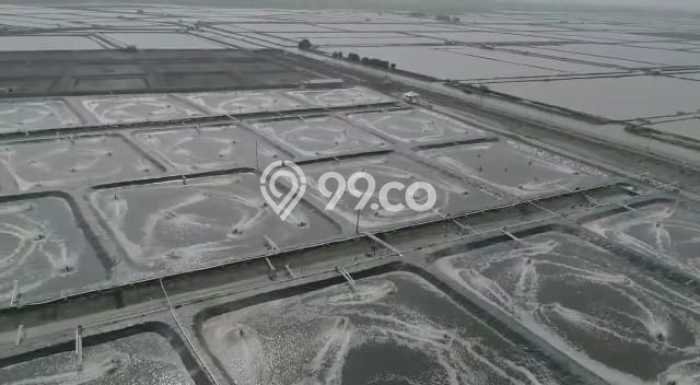 Kavling Tanah Dijual di Karawang Barat Karawang Spesifikasi 180000m2 Kavling Tanah Dijual di Karawang Barat Karawang Spesifikasi 180000m2