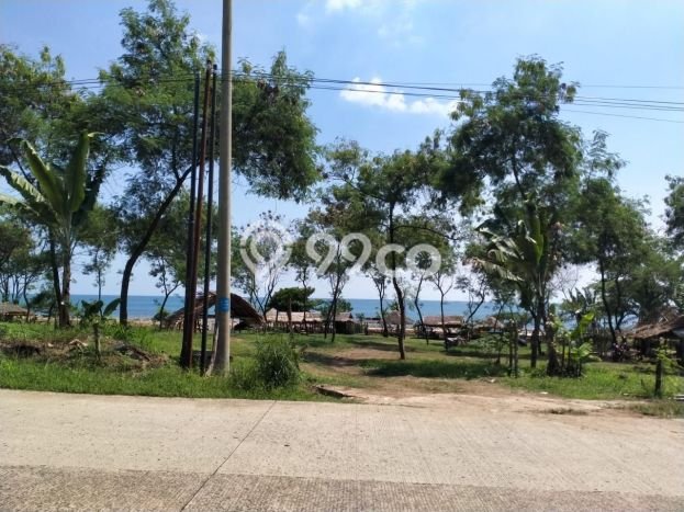 Tanah Kawasan Tanjung Lesung, Luas 43000m², Area Potensial, Lingkungan Nyaman, Kontur Datar Tanah Kawasan Tanjung Lesung, Luas 43000m², Area Potensial, Lingkungan Nyaman, Kontur Datar