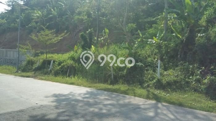 Tanah Kawasan Tanjung Lesung, Luas 43000m², Area Potensial, Lingkungan Nyaman, Kontur Datar Tanah Kawasan Tanjung Lesung, Luas 43000m², Area Potensial, Lingkungan Nyaman, Kontur Datar