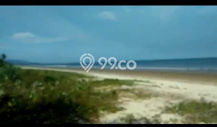 Tanah Kawasan Tanjung Lesung, Luas 43000m², Area Potensial, Lingkungan Nyaman, Kontur Datar Tanah Kawasan Tanjung Lesung, Luas 43000m², Area Potensial, Lingkungan Nyaman, Kontur Datar