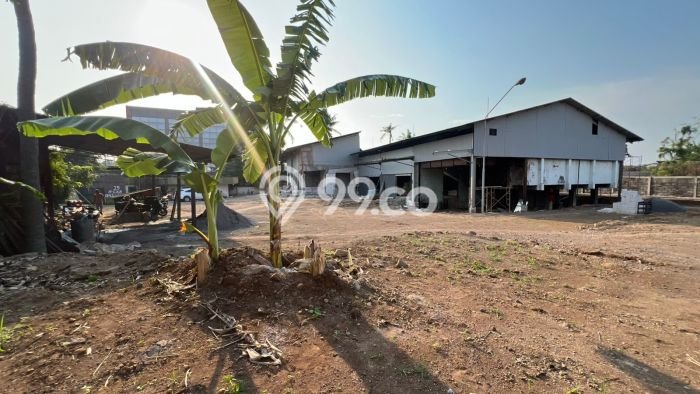 Area Ramai! Gudang Dijual di Ngaliyan untuk Bisnis Luas Bangunan 600m2 Area Ramai! Gudang Dijual di Ngaliyan untuk Bisnis Luas Bangunan 600m2