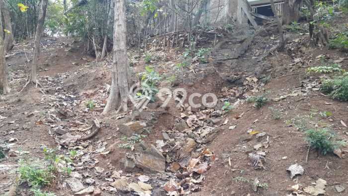 Kavling Tanah di Jepara Dijual Luas 262m2 Legalitas SHM Kavling Tanah di Jepara Dijual Luas 262m2 Legalitas SHM