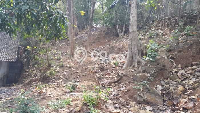 Kavling Tanah di Jepara Dijual Luas 262m2 Legalitas SHM Kavling Tanah di Jepara Dijual Luas 262m2 Legalitas SHM