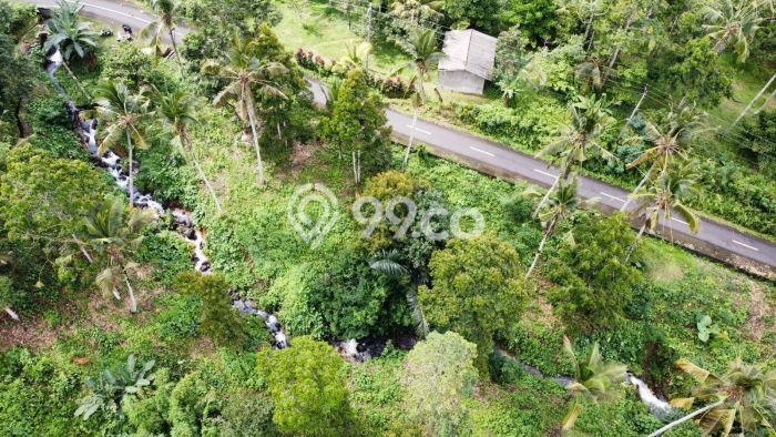 Tanah untuk Dijual Lokasi Tabanan, Tabanan Luas 4000m2 SHM Tanah untuk Dijual Lokasi Tabanan, Tabanan Luas 4000m2 SHM