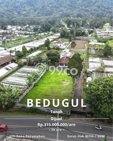Tanah Dijual di Tabanan Seluas 5000m2 Strategis Tanah Dijual di Tabanan Seluas 5000m2 Strategis