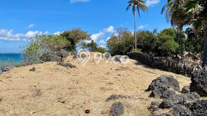 Kavling Tanah Dijual di Rote Barat Daya, Rote Ndao, Luas 8702m2 Area Strategis Kavling Tanah Dijual di Rote Barat Daya, Rote Ndao, Luas 8702m2 Area Strategis
