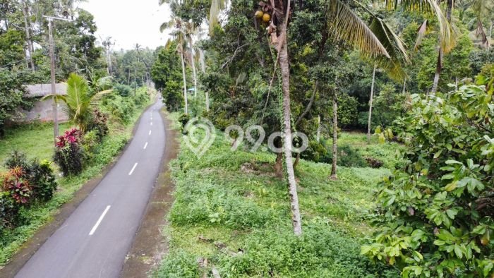Tanah untuk Dijual Lokasi Tabanan, Tabanan Luas 4000m2 SHM Tanah untuk Dijual Lokasi Tabanan, Tabanan Luas 4000m2 SHM