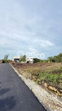 Tanah Dijual di Badung Seluas 1500m2 Strategis Tanah Dijual di Badung Seluas 1500m2 Strategis