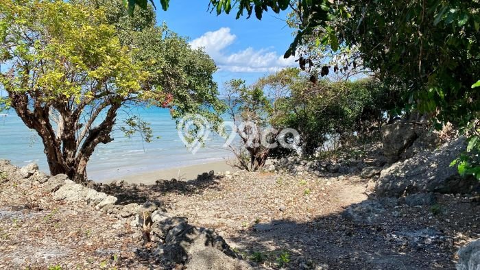 Kavling Tanah Dijual di Rote Barat Daya, Rote Ndao, Luas 8702m2 Area Strategis Kavling Tanah Dijual di Rote Barat Daya, Rote Ndao, Luas 8702m2 Area Strategis