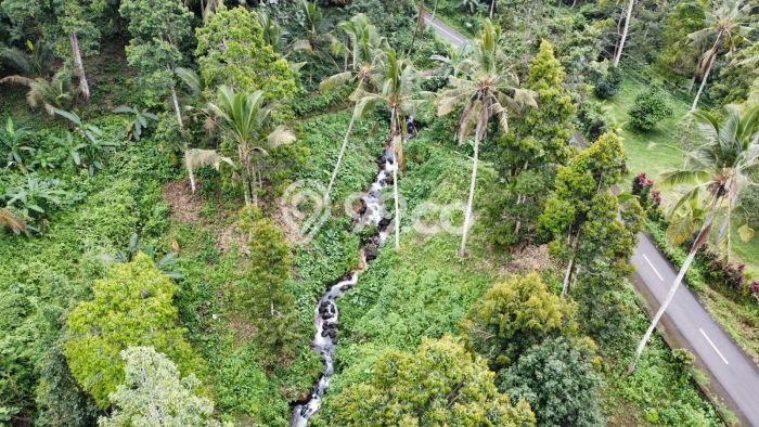 Tanah untuk Dijual Lokasi Tabanan, Tabanan Luas 4000m2 SHM Tanah untuk Dijual Lokasi Tabanan, Tabanan Luas 4000m2 SHM