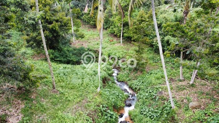 Tanah untuk Dijual Lokasi Tabanan, Tabanan Luas 4000m2 SHM Tanah untuk Dijual Lokasi Tabanan, Tabanan Luas 4000m2 SHM