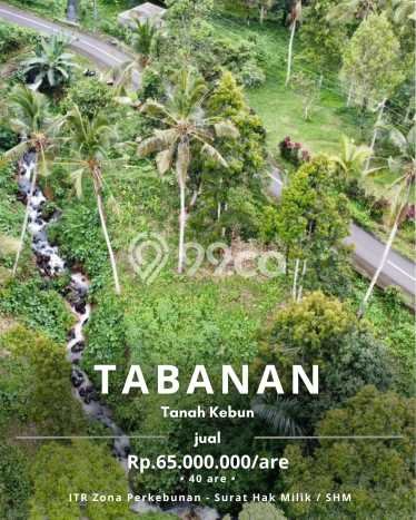 Tanah untuk Dijual Lokasi Tabanan, Tabanan Luas 4000m2 SHM Tanah untuk Dijual Lokasi Tabanan, Tabanan Luas 4000m2 SHM
