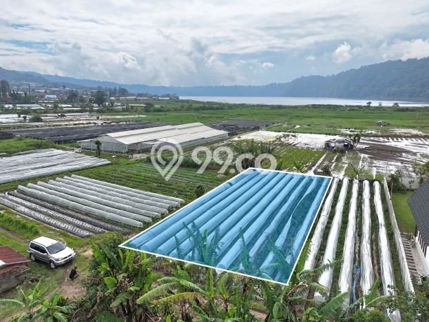 Tanah Kavling Dijual di Tabanan dengan Spesifikasi 500m2 Tanah Kavling Dijual di Tabanan dengan Spesifikasi 500m2