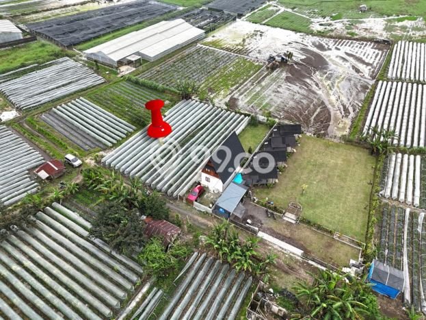 Tanah Kavling Dijual di Tabanan dengan Spesifikasi 500m2 Tanah Kavling Dijual di Tabanan dengan Spesifikasi 500m2