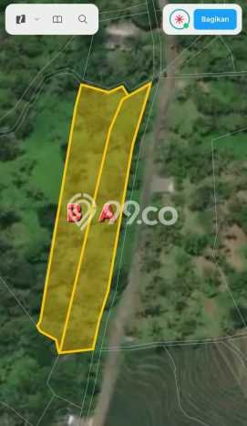 Tanah untuk Dijual Lokasi Tabanan, Tabanan Luas 4000m2 SHM Tanah untuk Dijual Lokasi Tabanan, Tabanan Luas 4000m2 SHM