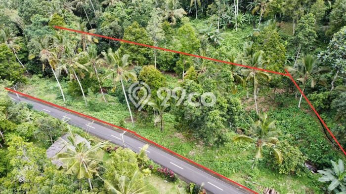 Tanah untuk Dijual Lokasi Tabanan, Tabanan Luas 4000m2 SHM Tanah untuk Dijual Lokasi Tabanan, Tabanan Luas 4000m2 SHM