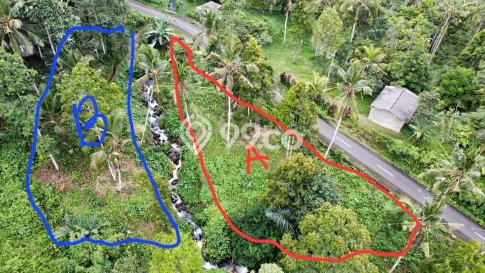 Tanah untuk Dijual Lokasi Tabanan, Tabanan Luas 4000m2 SHM Tanah untuk Dijual Lokasi Tabanan, Tabanan Luas 4000m2 SHM