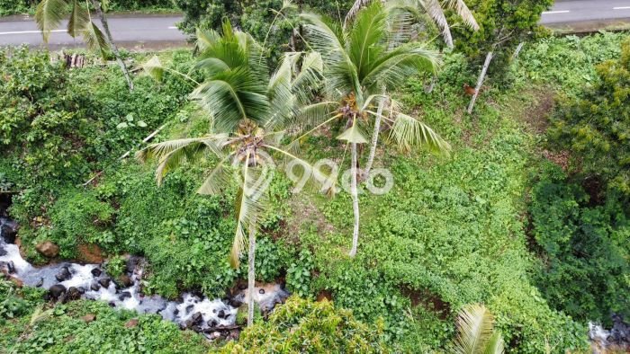 Tanah untuk Dijual Lokasi Tabanan, Tabanan Luas 4000m2 SHM Tanah untuk Dijual Lokasi Tabanan, Tabanan Luas 4000m2 SHM