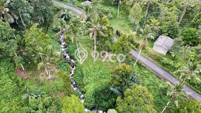 Tanah untuk Dijual Lokasi Tabanan, Tabanan Luas 4000m2 SHM Tanah untuk Dijual Lokasi Tabanan, Tabanan Luas 4000m2 SHM