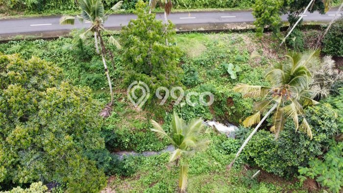 Tanah untuk Dijual Lokasi Tabanan, Tabanan Luas 4000m2 SHM Tanah untuk Dijual Lokasi Tabanan, Tabanan Luas 4000m2 SHM