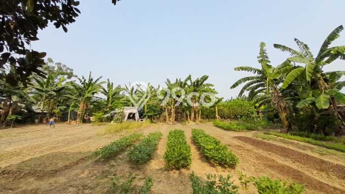 Tanah Area Potensial Kawasan Babelan, Luas 2185m2m², Lingkungan Nyaman, Akses Babelan, Bekasi, Bekasi Tanah Area Potensial Kawasan Babelan, Luas 2185m2m², Lingkungan Nyaman, Akses Babelan, Bekasi, Bekasi