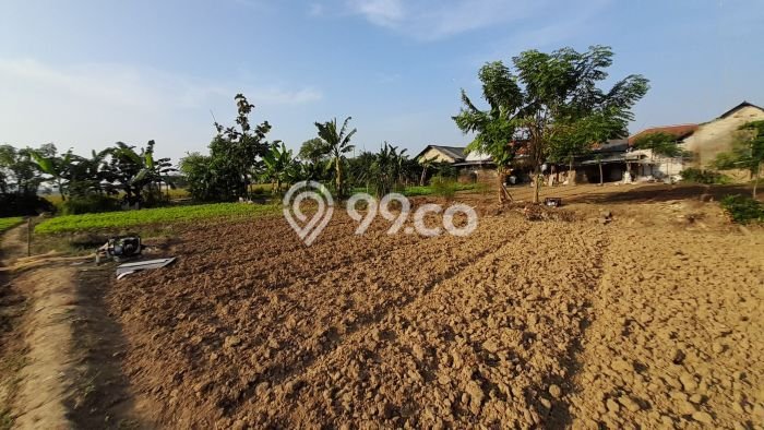 Kavling Tanah Dijual di Babelan, Bekasi, Luas 2478m2 Area Strategis Kavling Tanah Dijual di Babelan, Bekasi, Luas 2478m2 Area Strategis