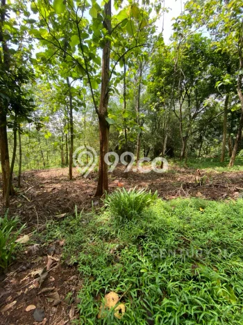 Tanah untuk Dijual di Cibogo Subang Luas 12473m2 Tanah untuk Dijual di Cibogo Subang Luas 12473m2