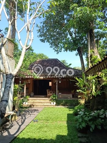 Dijual Rumah Luas Megah Dengan View Cantik di Bintaro, Tangerang Selatan Dijual Rumah Luas Megah Dengan View Cantik di Bintaro, Tangerang Selatan