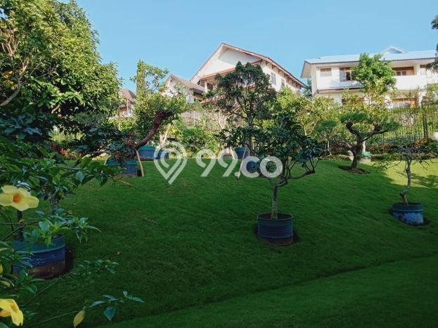Rumah Premium di Bogor Lokasi Strategis Kondisi Baik Rumah Premium di Bogor Lokasi Strategis Kondisi Baik