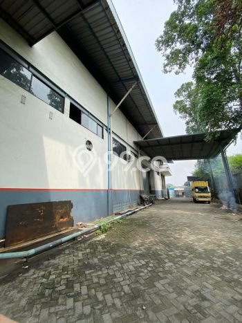 Gudang Bagus Dijual di Kapuk Muara Jakarta Utara Strategis Cocok untuk Kembangkan Bisnis Gudang Bagus Dijual di Kapuk Muara Jakarta Utara Strategis Cocok untuk Kembangkan Bisnis