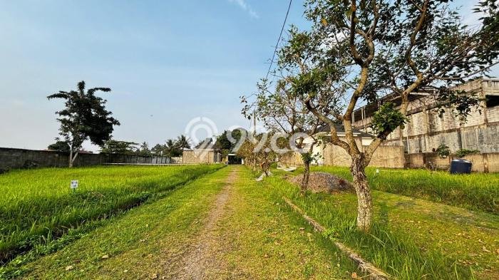 Best Deal Hunian Premium Ideal dan Luas di Kemang, Bogor Best Deal Hunian Premium Ideal dan Luas di Kemang, Bogor