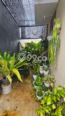 For Sale Rumah 3 Kamar Lokasi Ideal Bagus dan Strategis di Mijen For Sale Rumah 3 Kamar Lokasi Ideal Bagus dan Strategis di Mijen